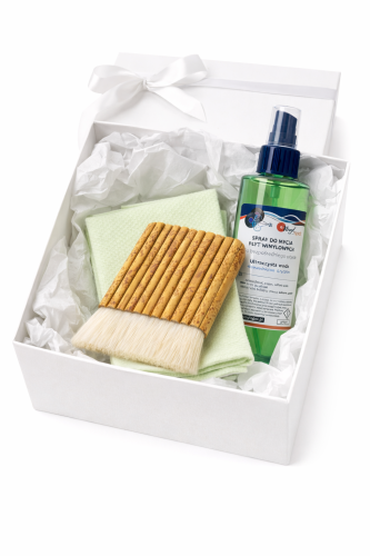 Zestaw do pielęgnacji płyt winylowych (2).png