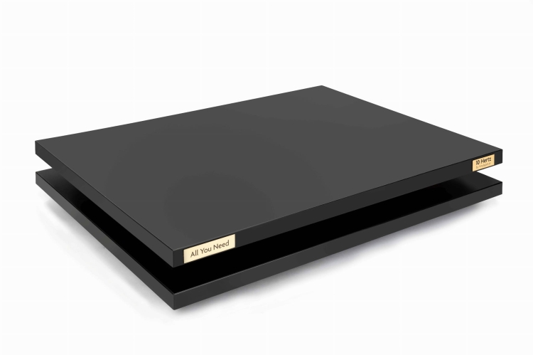 Platforma antywibracyjna 10Hertz All You Need Standard-gramofony Entry Level 7 do 11 kg.